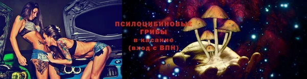 МДПВ Абаза
