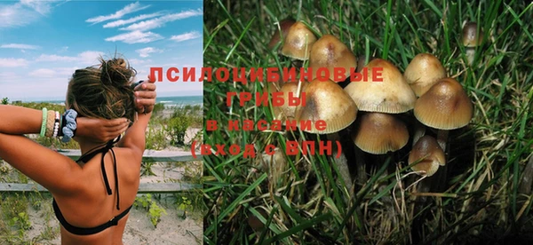 МДПВ Абаза