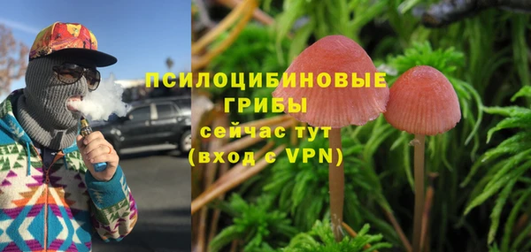 ГАЛЛЮЦИНОГЕННЫЕ ГРИБЫ Инта