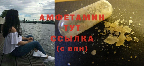 гидра Алексеевка