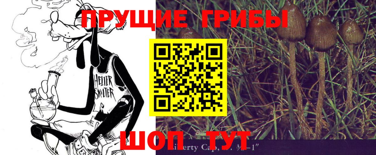 Волоколамск  Галлюциногенные грибы Psilocybe  Псилоцибиновые грибы Cubensis  где купить   Вход с VPN 