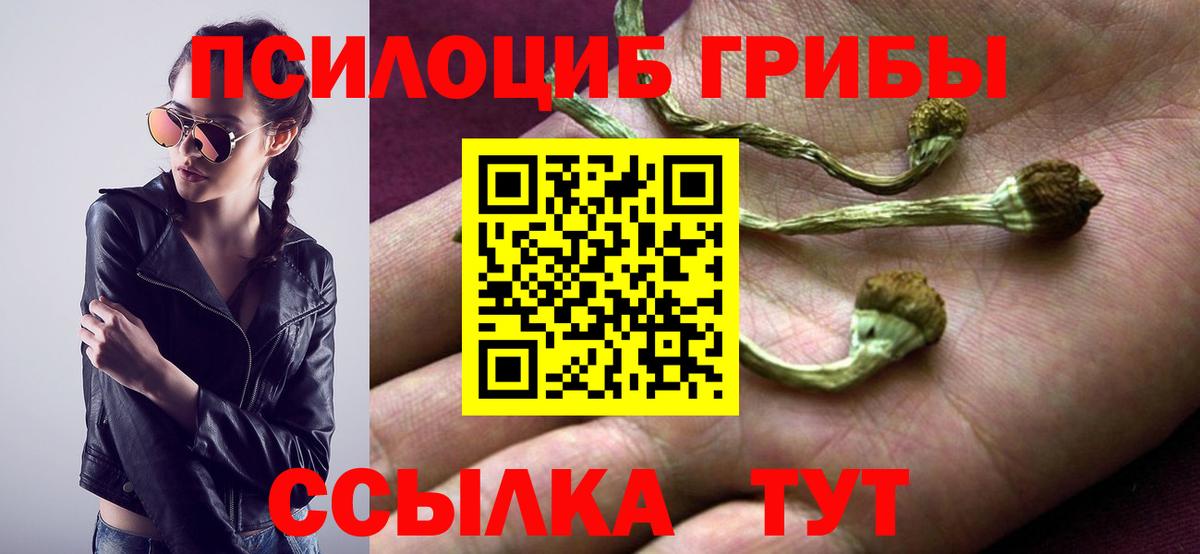 Галлюциногенные грибы Magic Shrooms Волоколамск